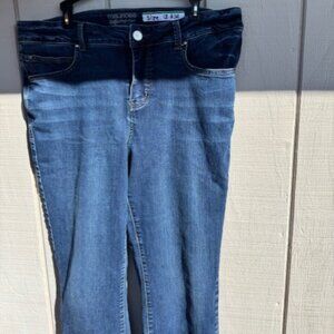 Maurices ever flex high rise jean